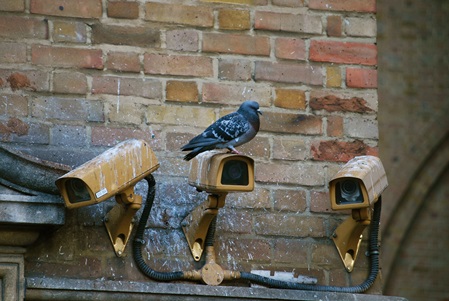 Outdoorcam